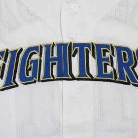 2005-2010 Hokkaido Nippon Ham Fighters Replica Jersey Home Darvish #11 - Image 4