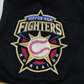 2005-2010 Hokkaido Nippon Ham Fighters Replica Jersey Home Darvish #11 - Image 5