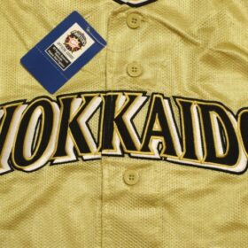 2010 Hokkaido Nippon Ham Fighters Replica Jersey Third - Image 4