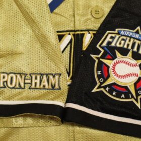 2010 Hokkaido Nippon Ham Fighters Replica Jersey Third - Image 5