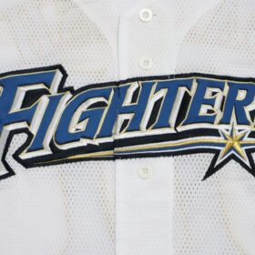 2011 Hokkaido Nippon Ham Fighters Replica Jersey Home Darvish #11