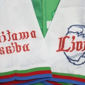 2012 Saitama Seibu Lions Cheap Jersey Third - Image 6