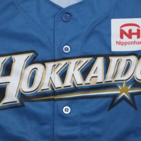 2014 Hokkaido Nippon Ham Fighters Cheap Jersey Third - Image 4