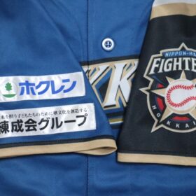 2014 Hokkaido Nippon Ham Fighters Cheap Jersey Third - Image 5