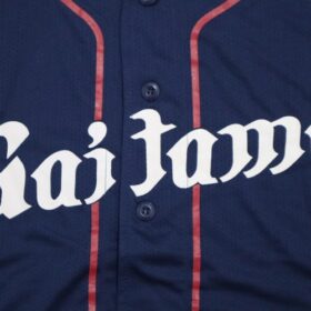 2016-2017 Saitama Seibu Lions Cheap Jersey Away - Image 4