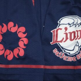 2016-2017 Saitama Seibu Lions Cheap Jersey Away - Image 5