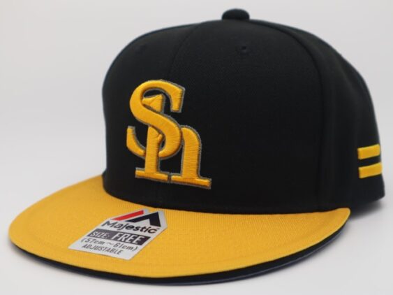 2016-2024 Fukuoka SoftBank Hawks Flat Cap