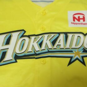 2017 Hokkaido Nippon Ham Fighters Cheap Jersey Third