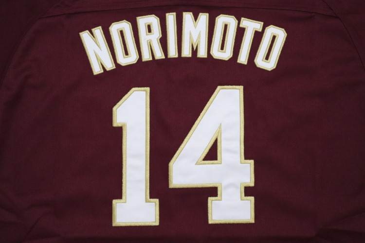 2024-2025 Tohoku Rakuten Golden Eagles Replica Jersey Away Norimoto #14 - Image 9
