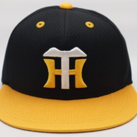 2024 Hanshin Tigers Player Issue Flat Cap Away - Image 2