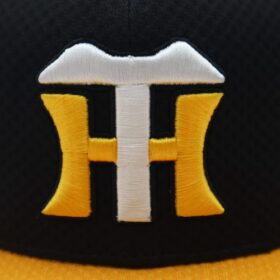 2024 Hanshin Tigers Player Issue Flat Cap Away - Image 3