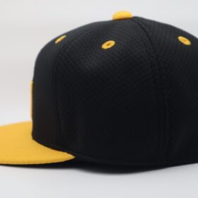 2024 Hanshin Tigers Player Issue Flat Cap Away - Image 4