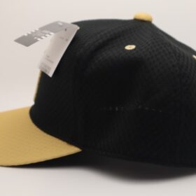 2024 Hanshin Tigers Replica Champion Cap - Image 4