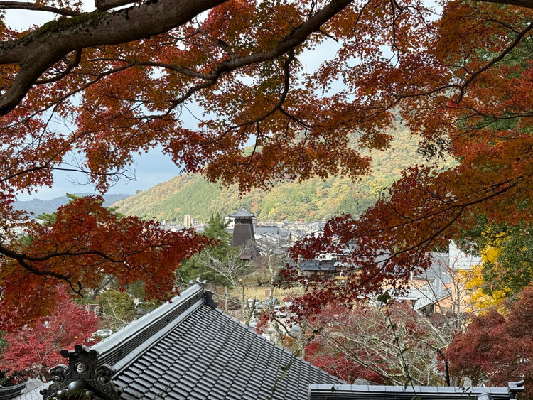 Notice of 2025 Year-End and 2026 New Year Holiday Schedule